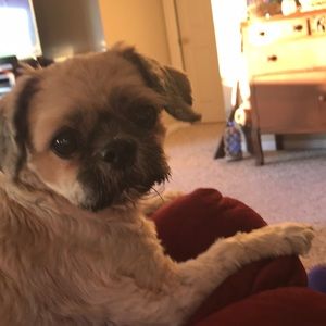 Meet your Posher, Kari